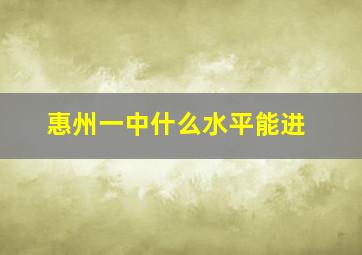 惠州一中什么水平能进