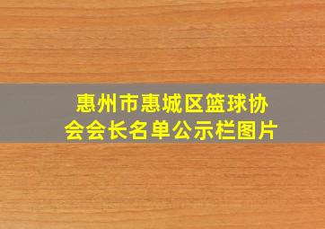 惠州市惠城区篮球协会会长名单公示栏图片