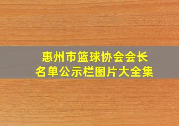 惠州市篮球协会会长名单公示栏图片大全集