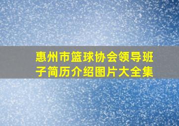 惠州市篮球协会领导班子简历介绍图片大全集