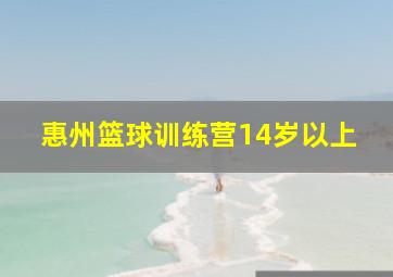 惠州篮球训练营14岁以上