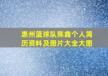 惠州篮球队陈鑫个人简历资料及图片大全大图