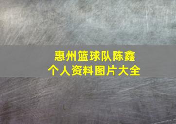 惠州篮球队陈鑫个人资料图片大全