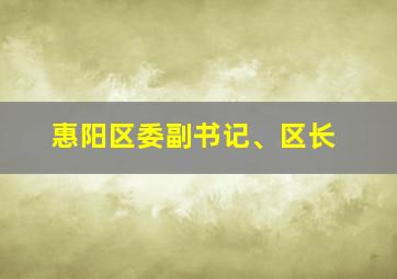 惠阳区委副书记、区长