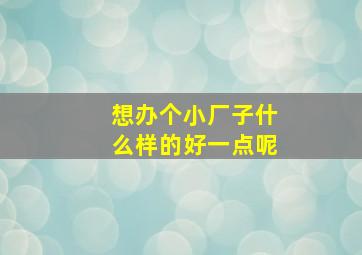 想办个小厂子什么样的好一点呢