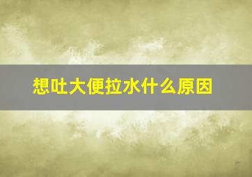 想吐大便拉水什么原因