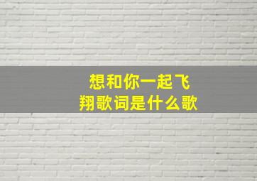 想和你一起飞翔歌词是什么歌