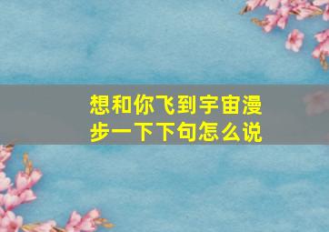 想和你飞到宇宙漫步一下下句怎么说