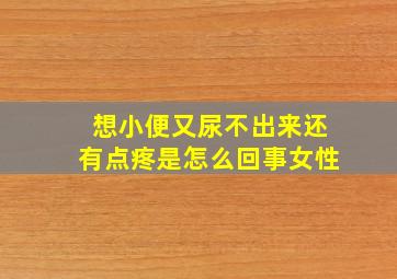 想小便又尿不出来还有点疼是怎么回事女性