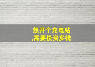 想开个充电站,需要投资多钱