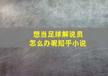 想当足球解说员怎么办呢知乎小说