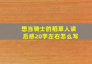 想当骑士的稻草人读后感20字左右怎么写