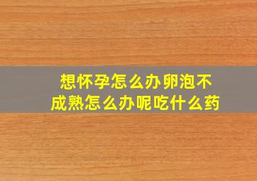 想怀孕怎么办卵泡不成熟怎么办呢吃什么药