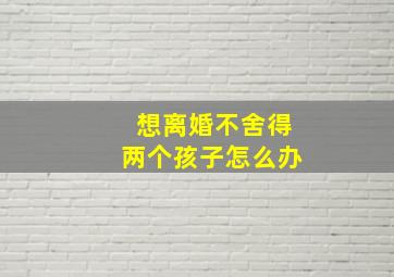 想离婚不舍得两个孩子怎么办