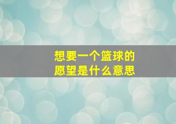 想要一个篮球的愿望是什么意思