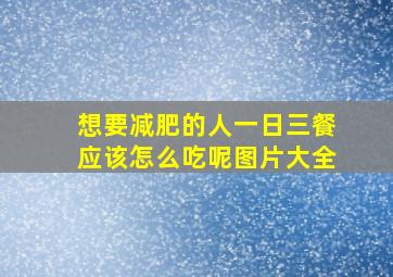 想要减肥的人一日三餐应该怎么吃呢图片大全