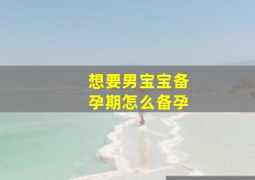 想要男宝宝备孕期怎么备孕