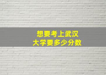 想要考上武汉大学要多少分数