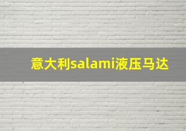 意大利salami液压马达