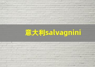 意大利salvagnini