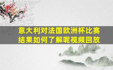 意大利对法国欧洲杯比赛结果如何了解呢视频回放