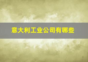 意大利工业公司有哪些