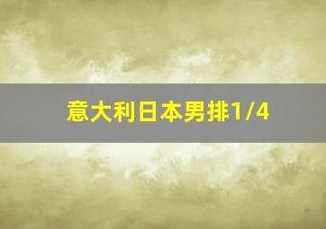 意大利日本男排1/4