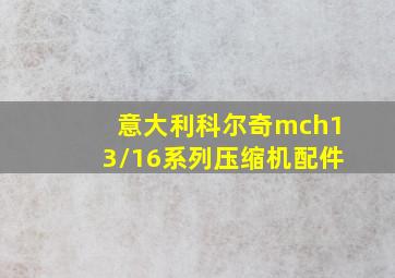 意大利科尔奇mch13/16系列压缩机配件