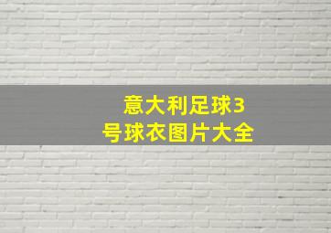 意大利足球3号球衣图片大全