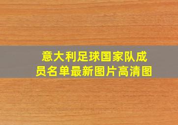 意大利足球国家队成员名单最新图片高清图