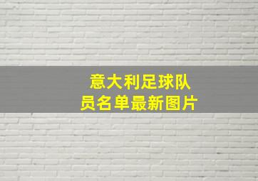 意大利足球队员名单最新图片