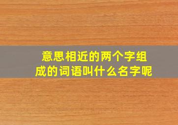 意思相近的两个字组成的词语叫什么名字呢