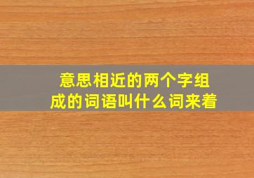 意思相近的两个字组成的词语叫什么词来着