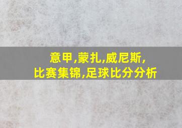 意甲,蒙扎,威尼斯,比赛集锦,足球比分分析