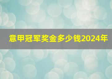 意甲冠军奖金多少钱2024年