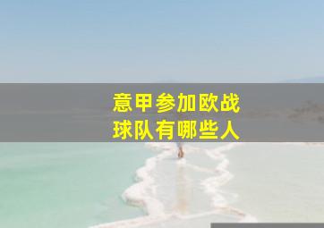 意甲参加欧战球队有哪些人