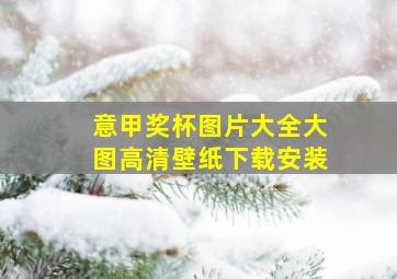 意甲奖杯图片大全大图高清壁纸下载安装