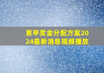 意甲奖金分配方案2024最新消息视频播放