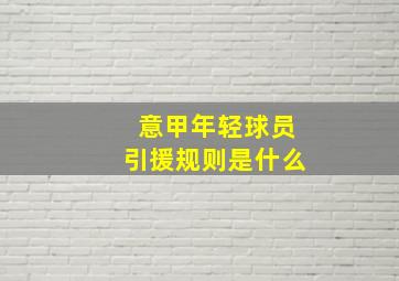 意甲年轻球员引援规则是什么