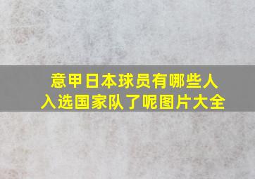 意甲日本球员有哪些人入选国家队了呢图片大全