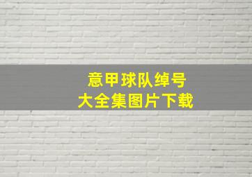 意甲球队绰号大全集图片下载