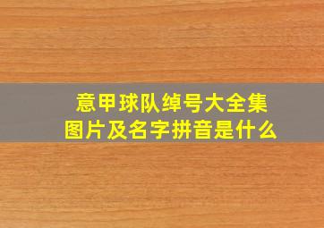 意甲球队绰号大全集图片及名字拼音是什么