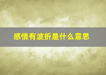 感情有波折是什么意思