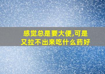 感觉总是要大便,可是又拉不出来吃什么药好