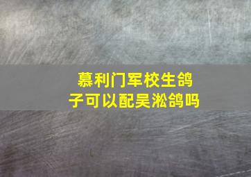 慕利门军校生鸽子可以配吴淞鸽吗