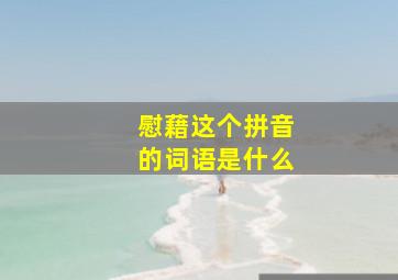 慰藉这个拼音的词语是什么