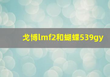 戈博lmf2和蝴蝶539gy