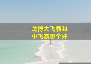 戈博大飞霸和中飞霸哪个好