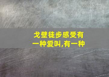 戈壁徒步感受有一种爱叫,有一种