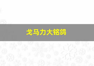 戈马力大铭鸽